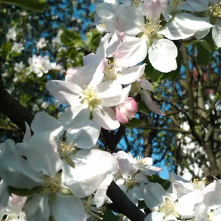 Maison d'hôtes - Landgasthof Winklehner