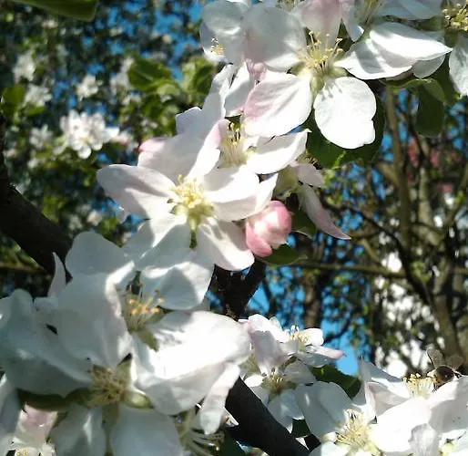 Gasthof Landgasthof Winklehner